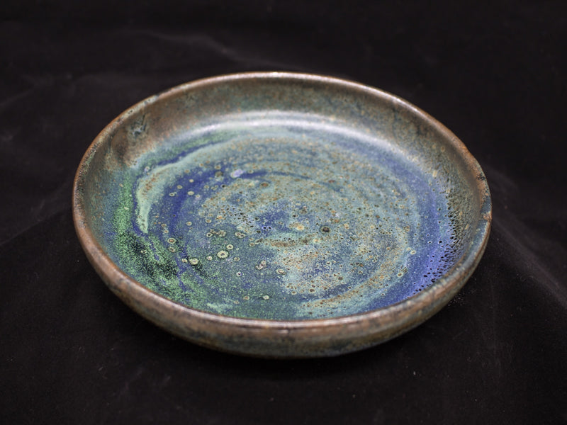 Earth & Ocean Pasta Plate