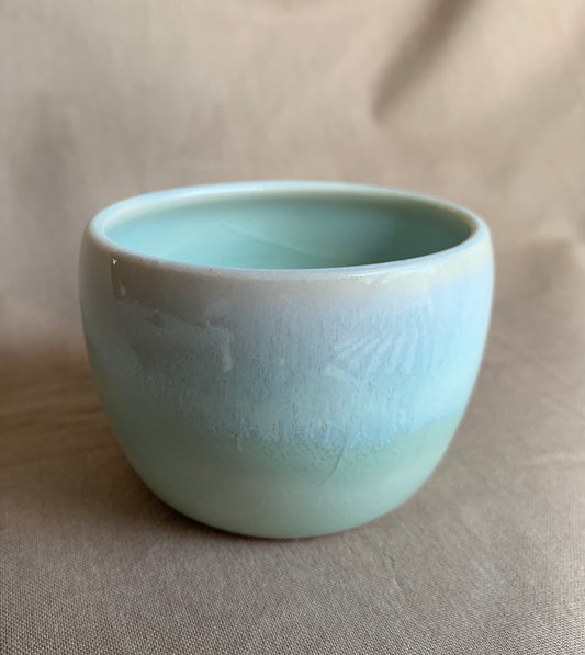 Ocean Mist Tumbler