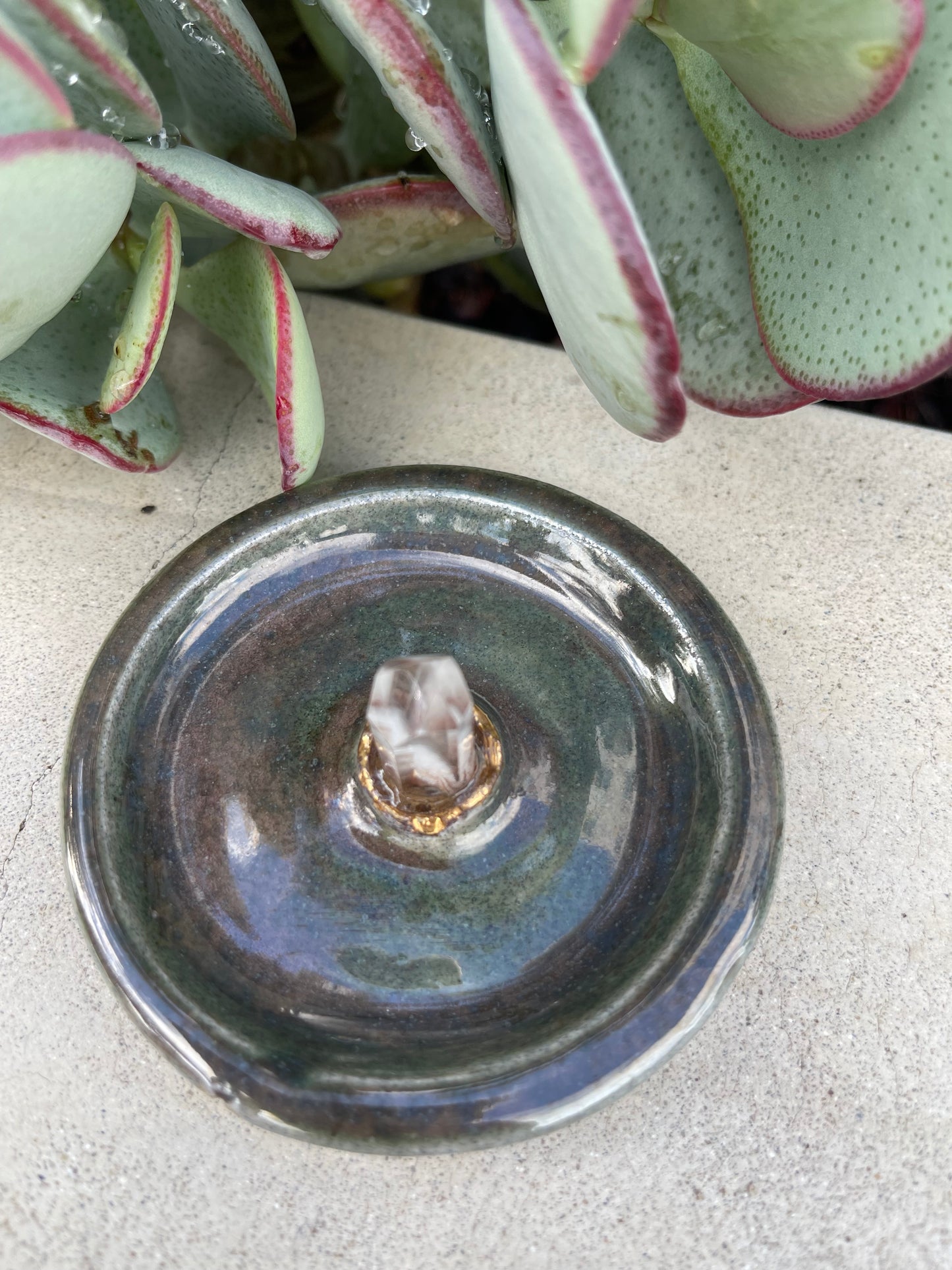 Phantom Ring Dish