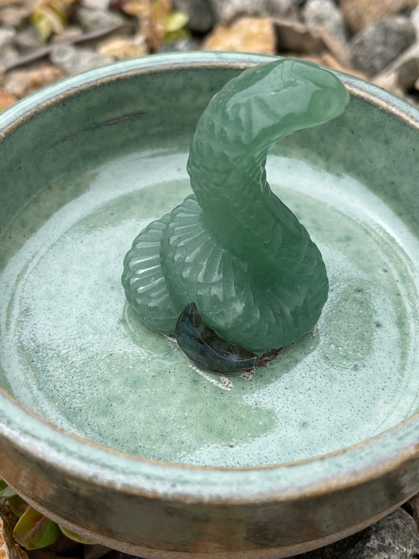 Jade Snake Dish